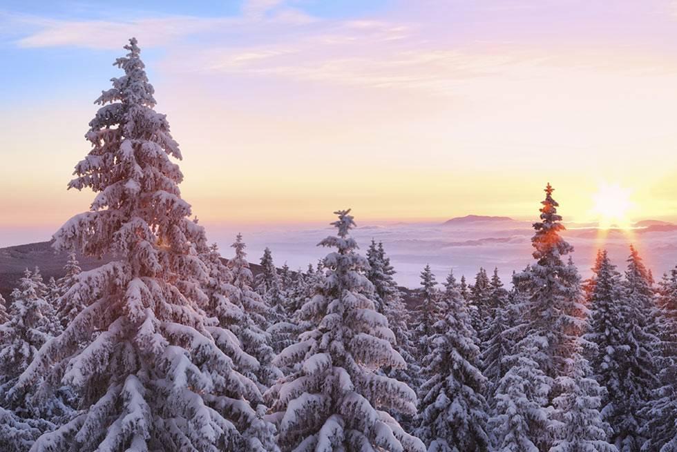 John Muir Lodge Hume Zewnętrze zdjęcie