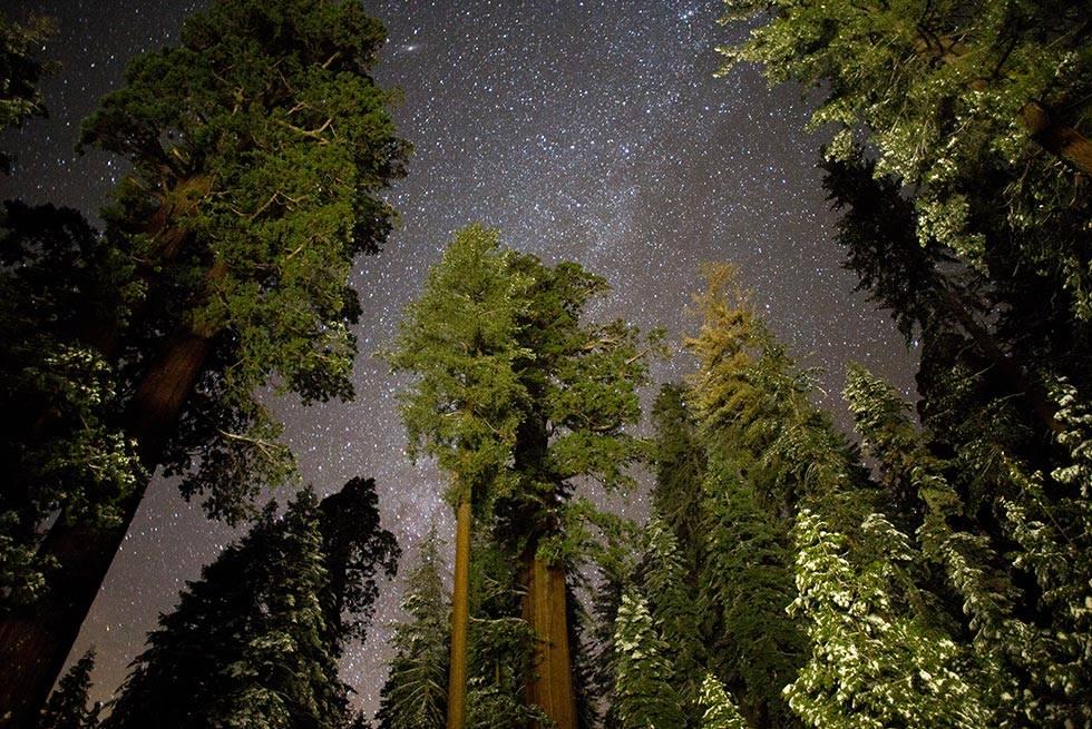 John Muir Lodge Hume Zewnętrze zdjęcie