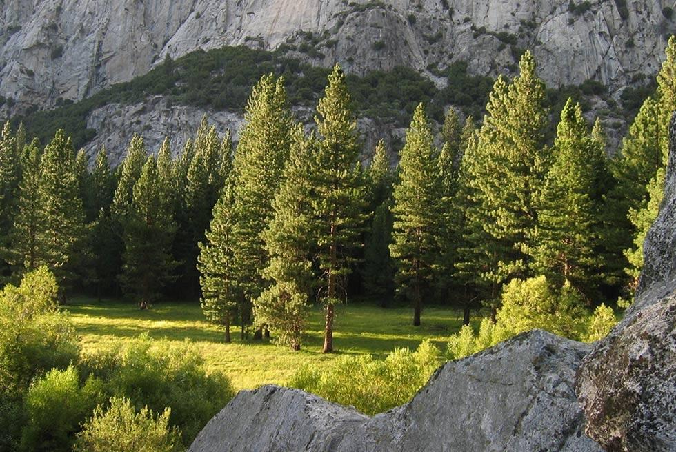 John Muir Lodge Hume Zewnętrze zdjęcie