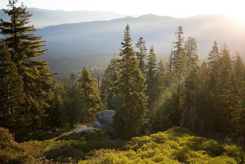 John Muir Lodge Hume Zewnętrze zdjęcie