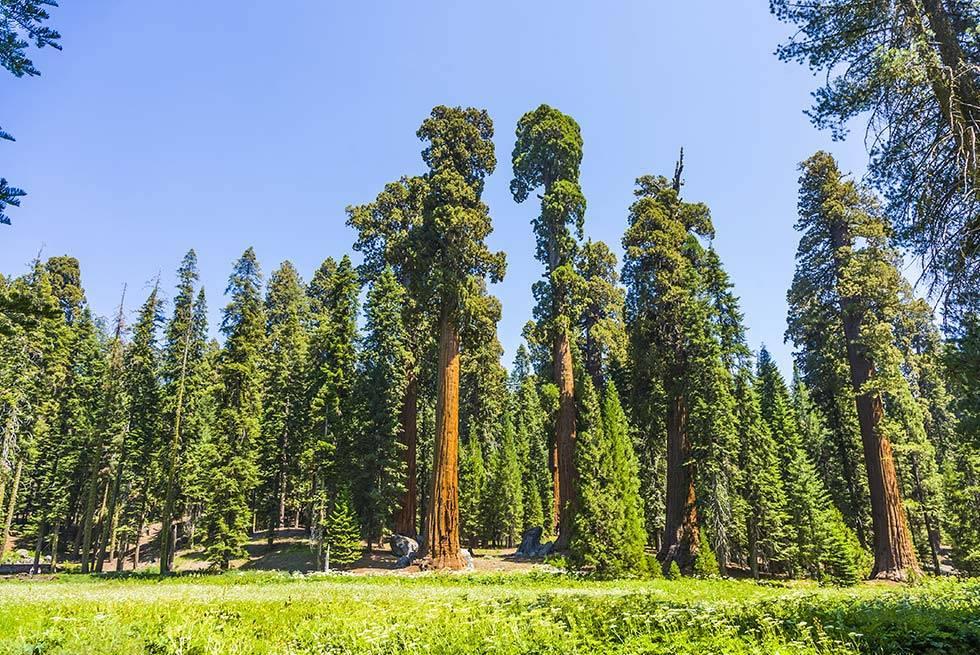 John Muir Lodge Hume Zewnętrze zdjęcie