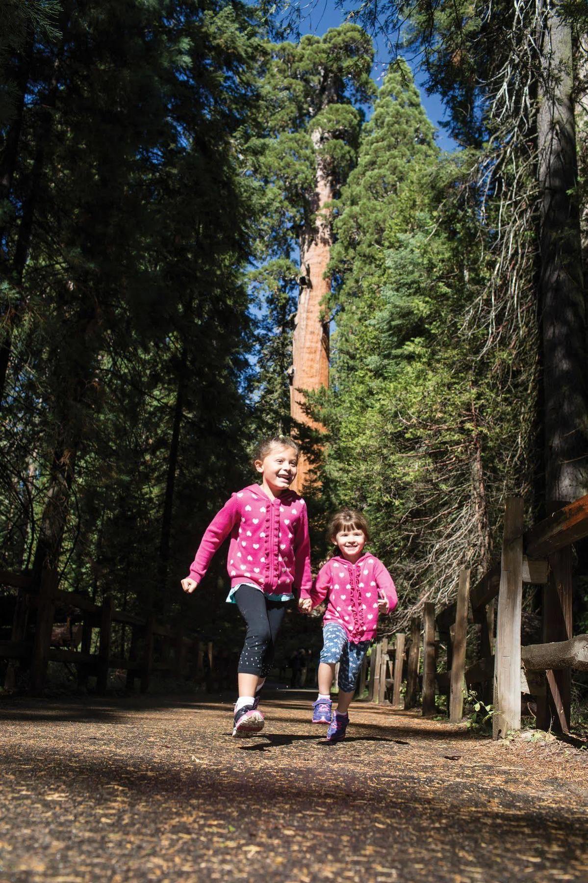 John Muir Lodge Hume Zewnętrze zdjęcie